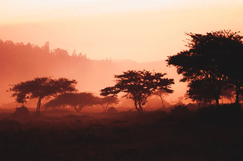 Rwanda scenery